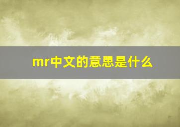 mr中文的意思是什么