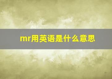 mr用英语是什么意思