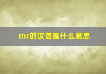 mr的汉语是什么意思