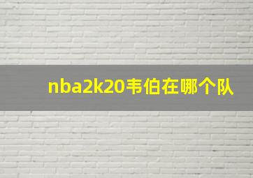 nba2k20韦伯在哪个队