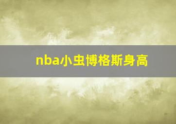 nba小虫博格斯身高