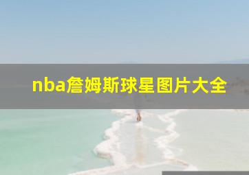 nba詹姆斯球星图片大全