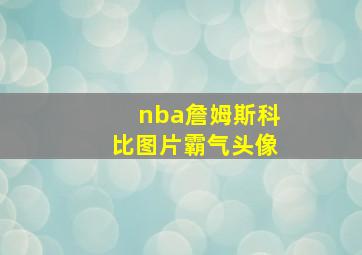 nba詹姆斯科比图片霸气头像