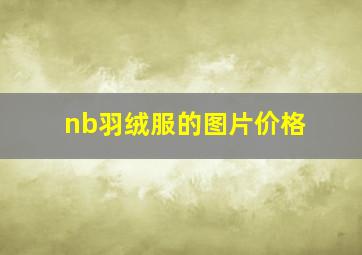 nb羽绒服的图片价格