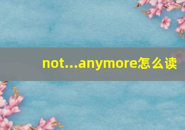 not...anymore怎么读