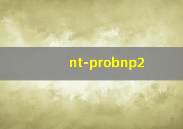 nt-probnp2