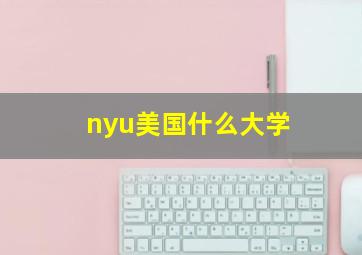 nyu美国什么大学