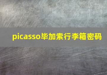 picasso毕加索行李箱密码