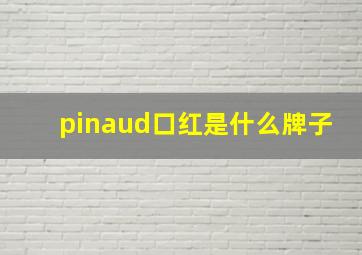 pinaud口红是什么牌子