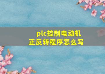 plc控制电动机正反转程序怎么写