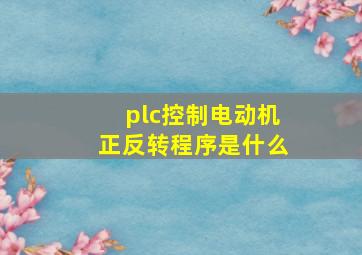 plc控制电动机正反转程序是什么