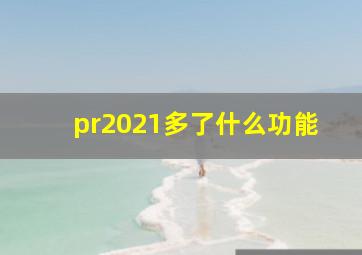 pr2021多了什么功能