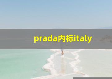 prada内标italy