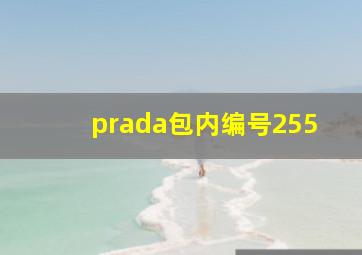 prada包内编号255