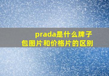 prada是什么牌子包图片和价格片的区别