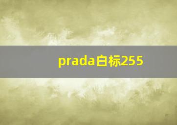 prada白标255