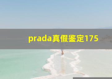 prada真假鉴定175