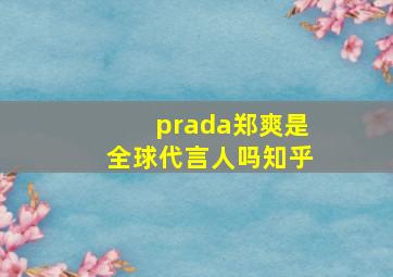 prada郑爽是全球代言人吗知乎