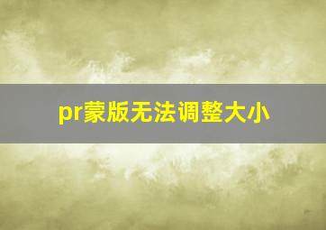 pr蒙版无法调整大小