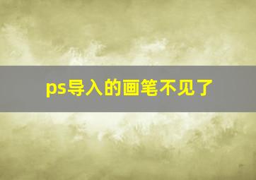 ps导入的画笔不见了