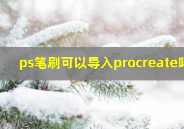 ps笔刷可以导入procreate吗