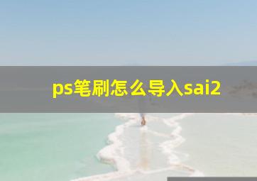 ps笔刷怎么导入sai2