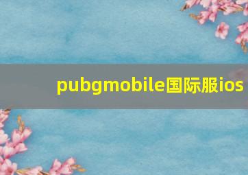 pubgmobile国际服ios