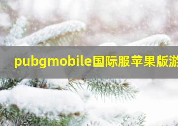 pubgmobile国际服苹果版游戏