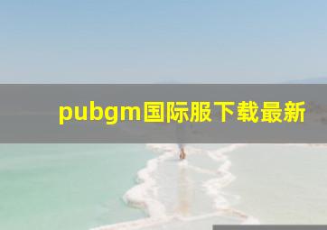 pubgm国际服下载最新