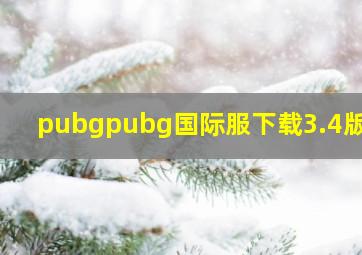 pubgpubg国际服下载3.4版本