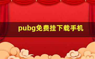 pubg免费挂下载手机