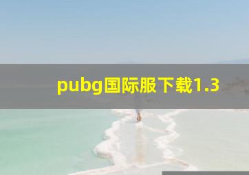 pubg国际服下载1.3