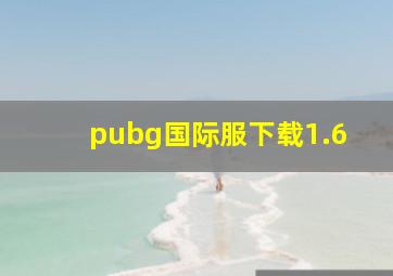 pubg国际服下载1.6