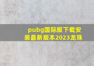 pubg国际服下载安装最新版本2023龙珠