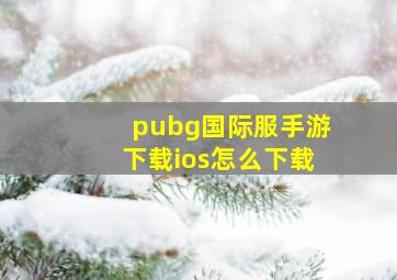 pubg国际服手游下载ios怎么下载