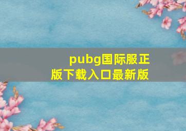 pubg国际服正版下载入口最新版