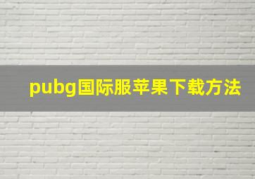 pubg国际服苹果下载方法