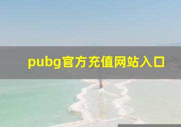 pubg官方充值网站入口