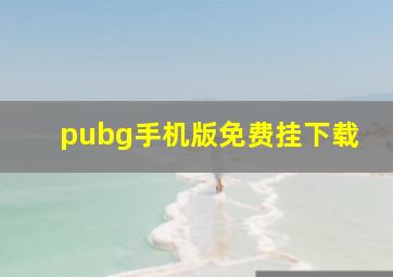 pubg手机版免费挂下载