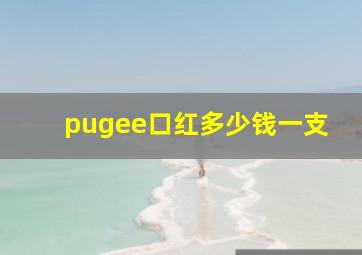 pugee口红多少钱一支