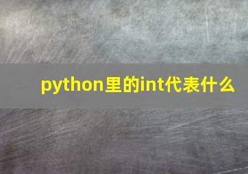 python里的int代表什么