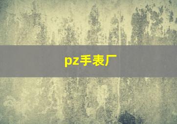 pz手表厂