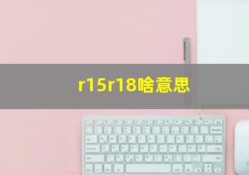 r15r18啥意思