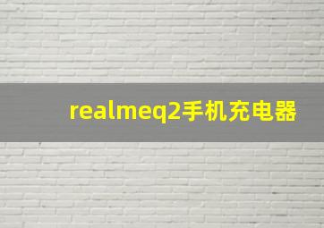 realmeq2手机充电器