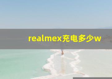 realmex充电多少w