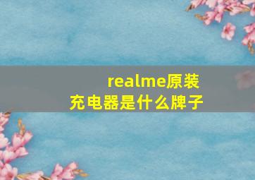 realme原装充电器是什么牌子