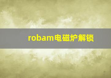 robam电磁炉解锁