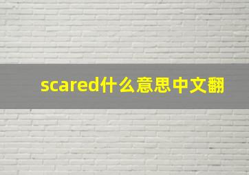 scared什么意思中文翻