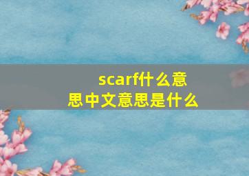 scarf什么意思中文意思是什么