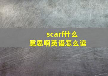 scarf什么意思啊英语怎么读